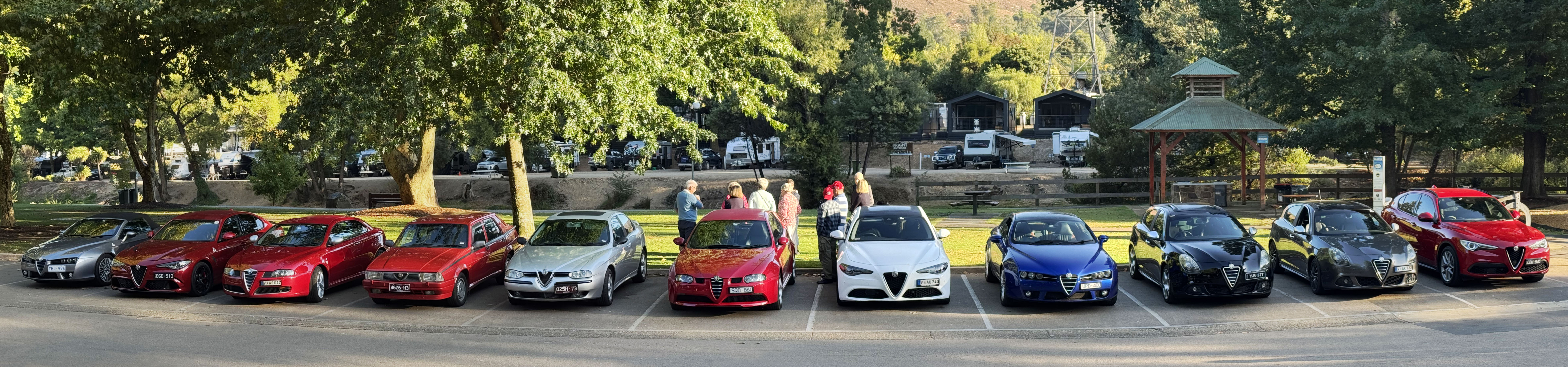 Alfas in Bright